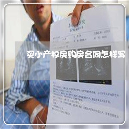 买小产权房购房合同怎样写/2023060473926