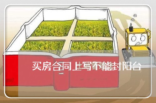 买房合同上写不能封阳台/2023022640303 买房合同上写不能封阳台/2023022640303