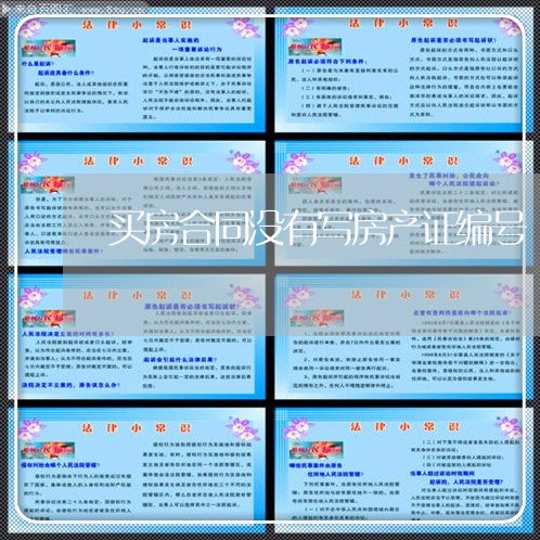 买房合同没有写房产证编号/2023041528151