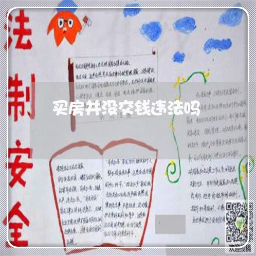 买房并没交钱违法吗