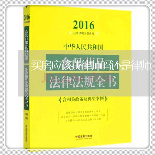 买房应该找律师吗还是律师/2023060278350