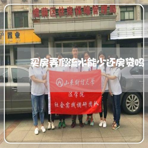 买房弄假流水能少还房贷吗/2023061114250 买房弄假流水能少还房贷吗/2023061114250