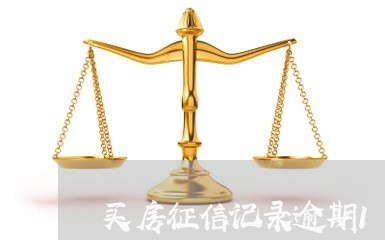 买房征信记录逾期11次/2023041808302