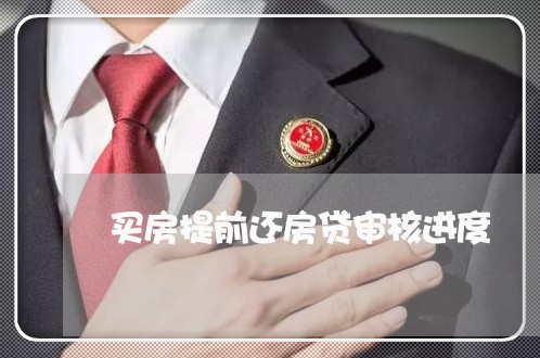 买房提前还房贷审核进度/2023041848168