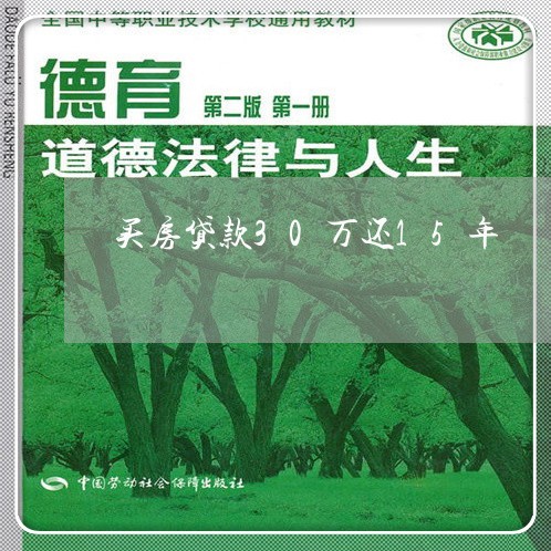 买房贷款30万还15年/2023041825069