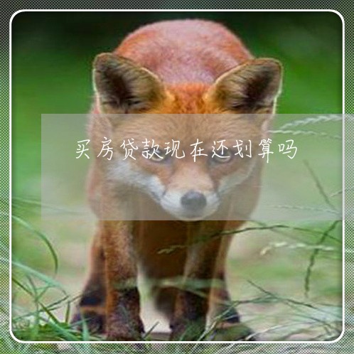 买房贷款现在还划算吗/2023061152505 买房贷款现在还划算吗/2023061152505