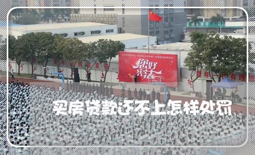 买房贷款还不上怎样处罚/2023041842504