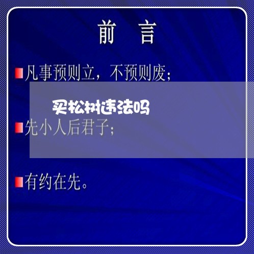 买松树违法吗 买松树违法吗