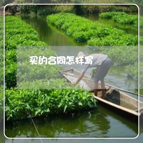 买的合同怎样写/2023022638148