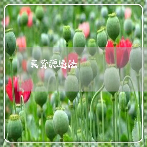 买资源违法 买资源违法