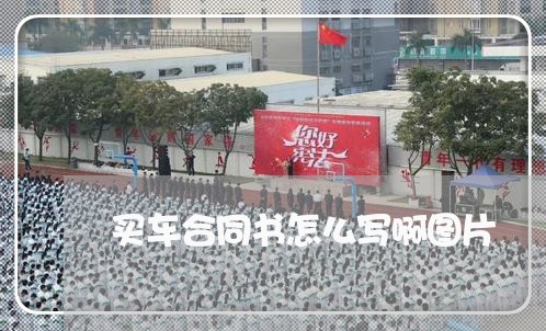 买车合同书怎么写啊图片/2023042394927