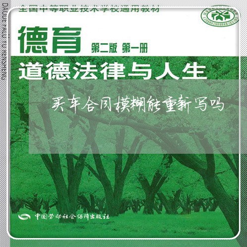 买车合同模糊能重新写吗/2023041033946