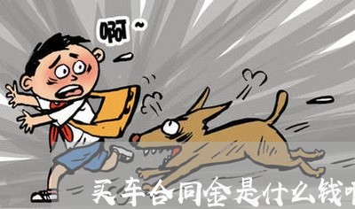 买车合同金是什么钱啊怎么写/2023060545151 买车合同金是什么钱啊怎么写/2023060545151