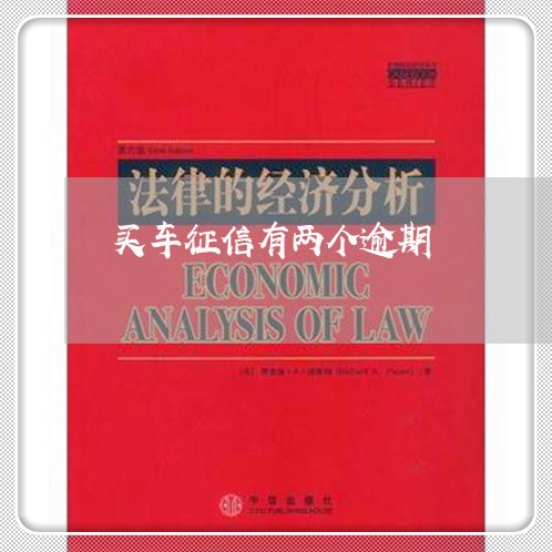买车征信有两个逾期
