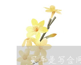 买车是写合同还是先交定金/2023022605258 买车是写合同还是先交定金/2023022605258