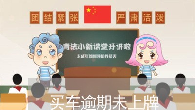 买车逾期未上牌