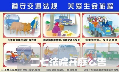 二七法院开庭公告 二七法院开庭公告