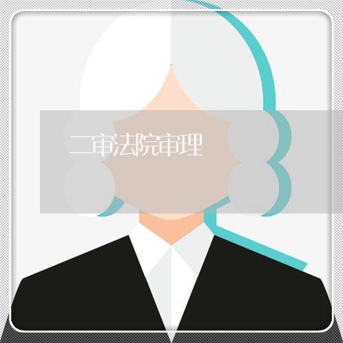 二审法院审理