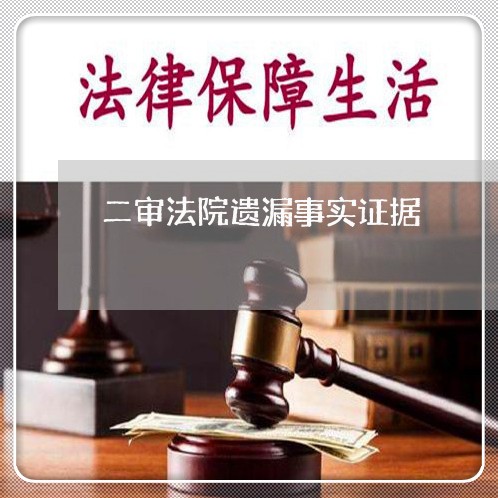 二审法院遗漏事实证据