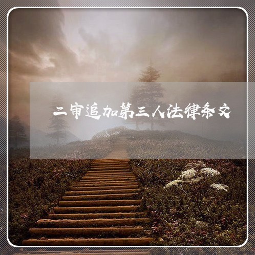 二审追加第三人法律条文 二审追加第三人法律条文