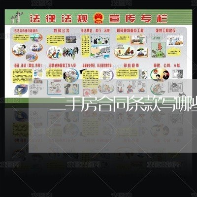 二手房合同条款写哪些东西/2023061505816
