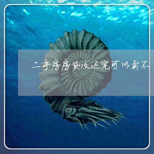 二手房房贷没还完可以卖不/2023061036937