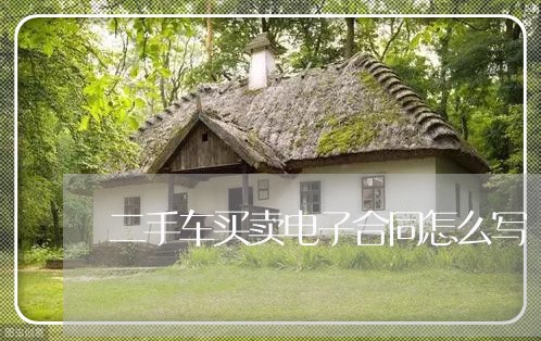二手车买卖电子合同怎么写/2023061505928