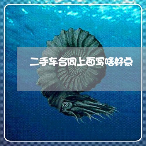 二手车合同上面写啥好点/2023061628362