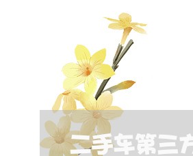 二手车第三方中介合同怎么写/2023061625037 二手车第三方中介合同怎么写/2023061625037