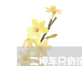 二押车只有法院可以拍卖 二押车只有法院可以拍卖