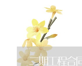 二期工程合同怎么写/2023041695818