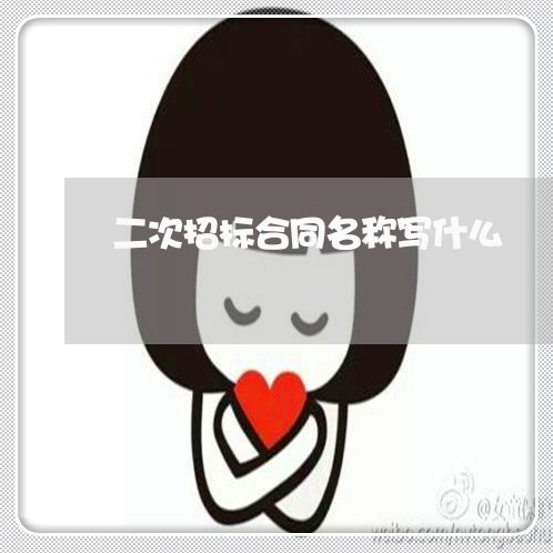 二次招标合同名称写什么/2023060208471