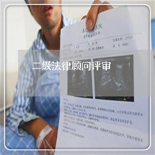 二级法律顾问评审