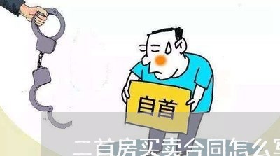 二首房买卖合同怎么写/2023060343826