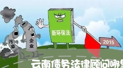 云南债务法律顾问哪里好/2023061838179