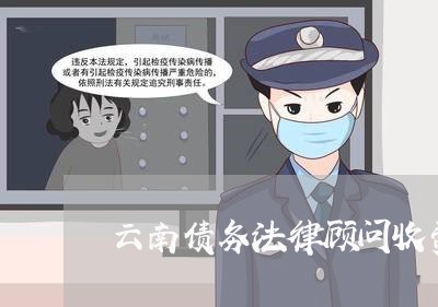 云南债务法律顾问收费吗/2023061785915