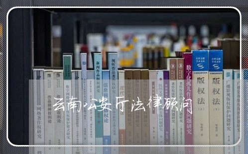 云南公安厅法律顾问 云南公安厅法律顾问