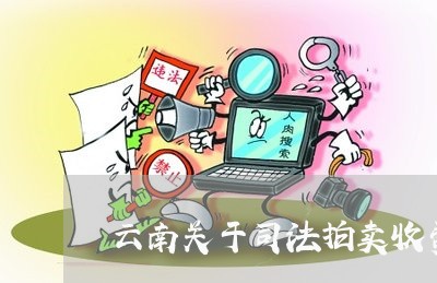 云南关于司法拍卖收费标准