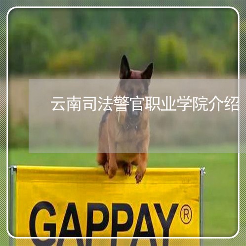 云南司法警官职业学院介绍 云南司法警官职业学院介绍