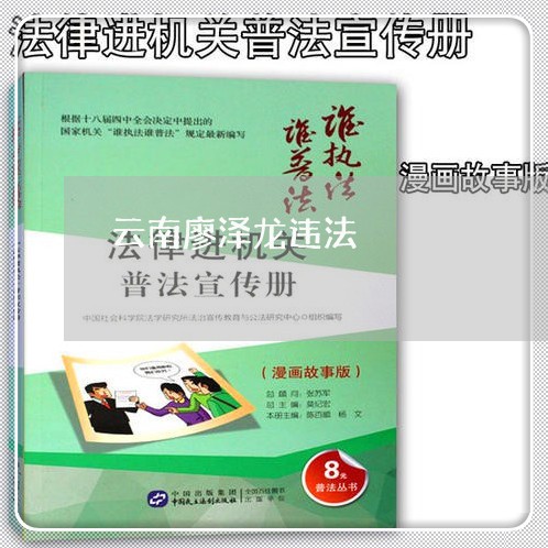 云南廖泽龙违法