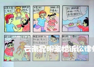 云南昆明离婚诉讼律师多少钱