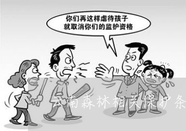 云南森林相关保护条例法规 云南森林相关保护条例法规