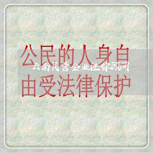 云南民营企业法律顾问/2023061872915
