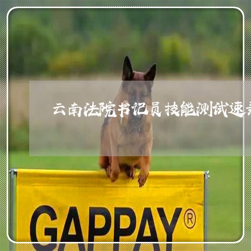 云南法院书记员技能测试速录机