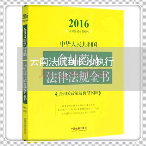 云南法院到长沙执行