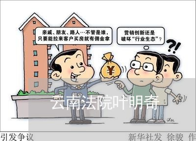云南法院叶明奇 云南法院叶明奇