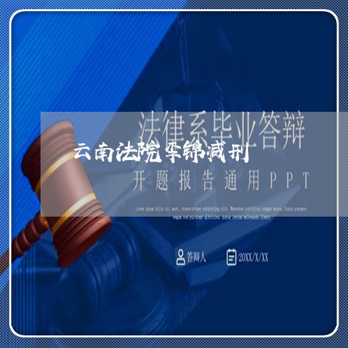 云南法院李锦减刑 云南法院李锦减刑