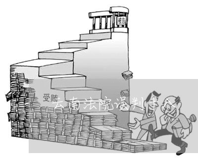 云南法院误判十八 云南法院误判十八