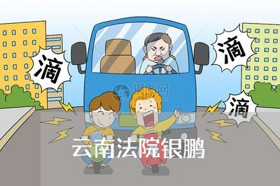 云南法院银鹏 云南法院银鹏