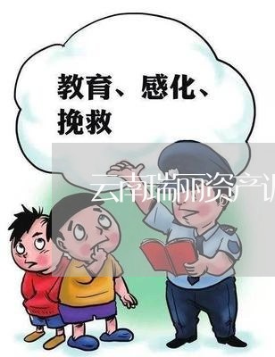 云南瑞丽资产诉讼网